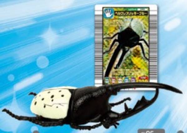 楽天市場】【ヘルクレスリッキーブルー】甲虫王者ムシキング ムシ
