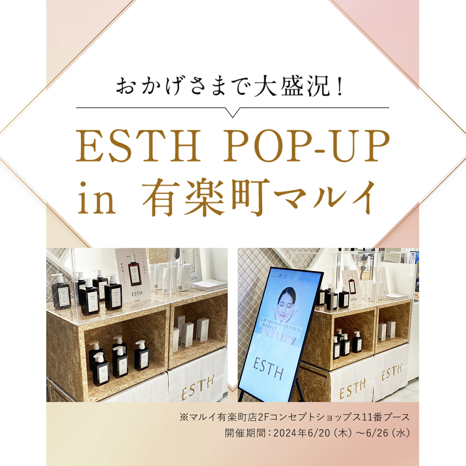 楽天市場】《公式》【スーパーSALE30%OFF☆3/11 1:59まで】 ESTH エス
