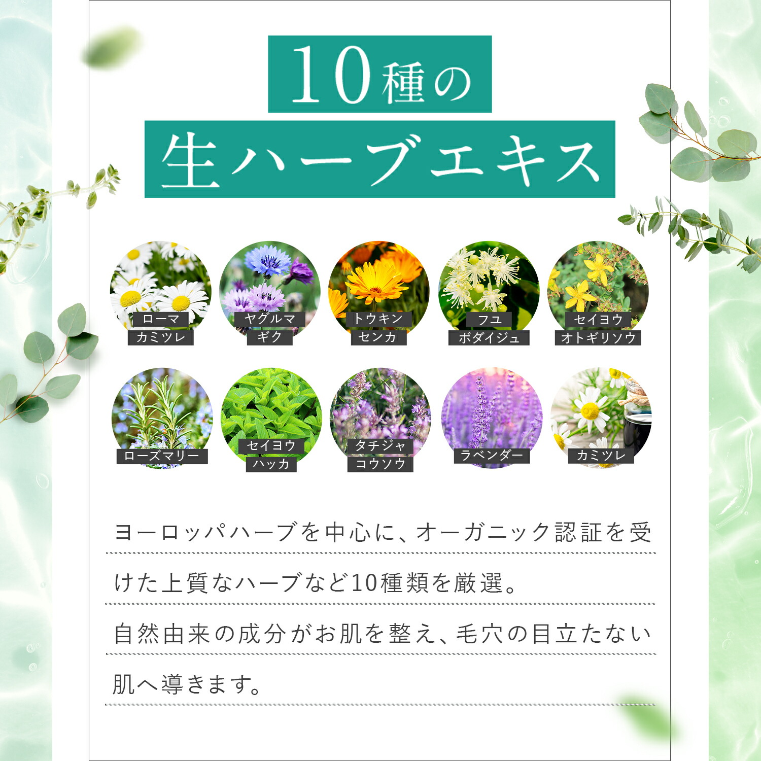 楽天市場】《公式》【スーパーSALE30%OFF☆3/11 1:59まで】 ESTH エス