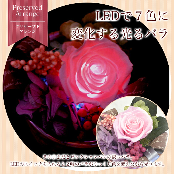 楽天市場】【送料無料】☆色が変わる！LEDで光るバラ ROSA☆誕生日