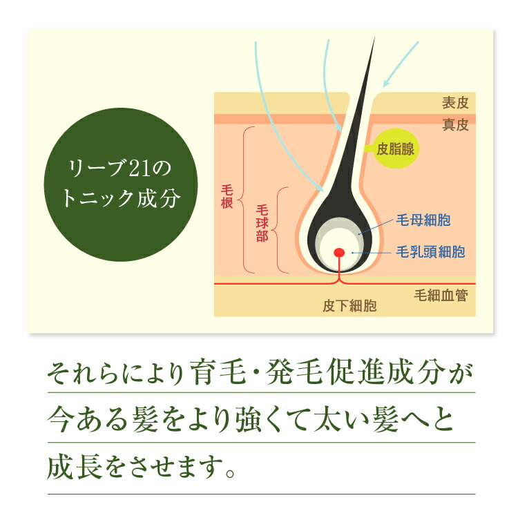 楽天市場】リーブ21公式 育毛剤 髪皇 250ml 医薬部外品 育毛トニック