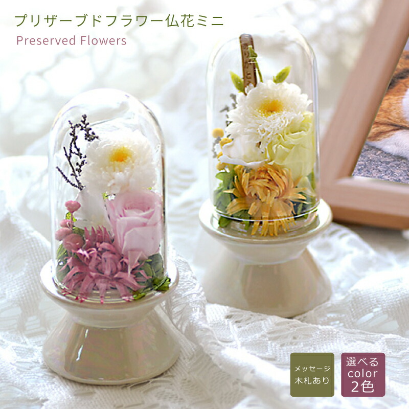 楽天市場】ガラスドーム付き プリザーブドフラワー ミニ仏花(ﾐﾆ札付