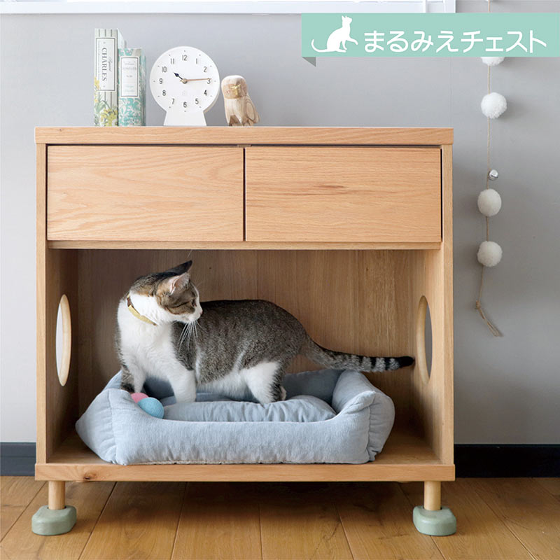 楽天市場】【楽天スーパーSALE期間中全品ポイント10倍】猫用 タンス