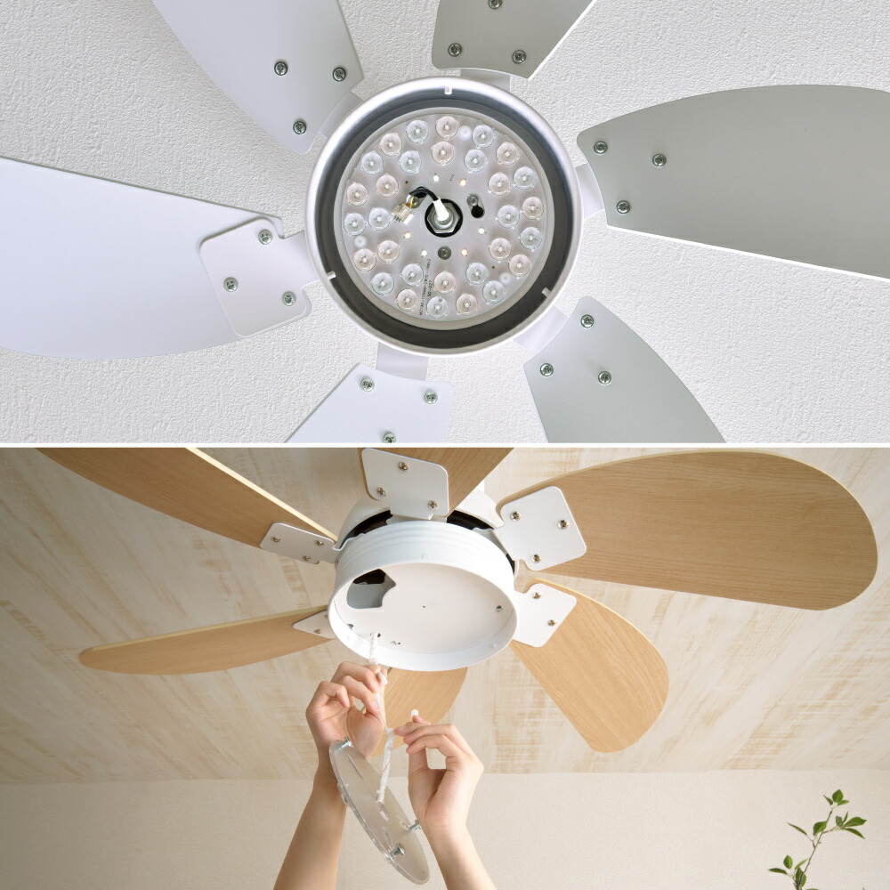 楽天市場】【5％OFF＆ポイント3倍！】シーリングファンライト