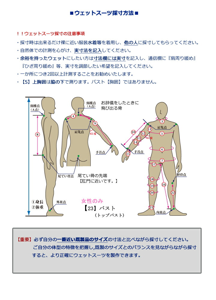 楽天市場】シーガル【カスタムオーダー】3mm×2mmシーガル /ジップ