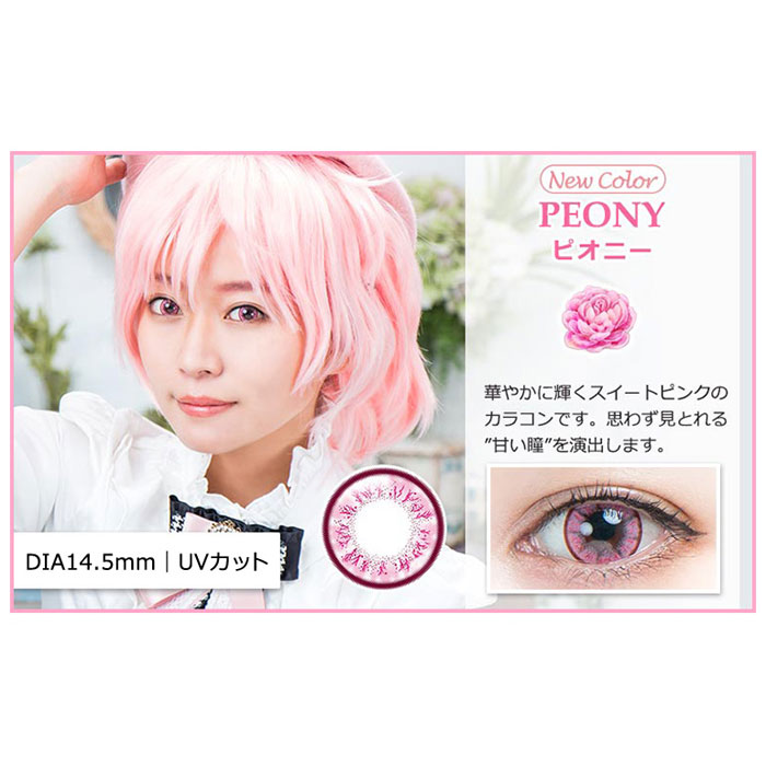 楽天市場】パーフェクトシリーズワンデー フルブルーム ピオニー 度