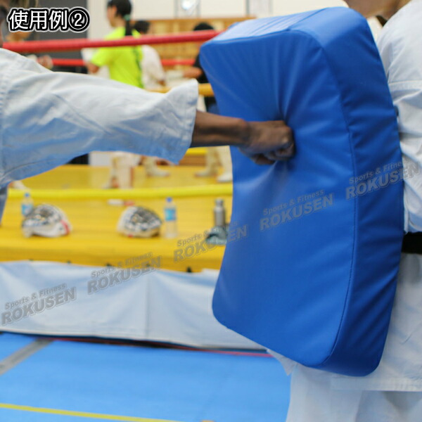 新極真会 空手 練習用 ミット 格闘技 ブルー 楽天市場】空手 ミット