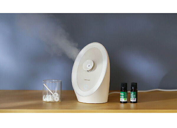 楽天市場】スチーマー 美顔器 タンク フェスティノ ナノスチーマー