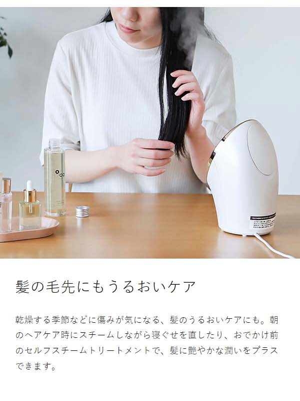 楽天市場】スチーマー 美顔器【選べる特典付き】フェスティノ ナノ