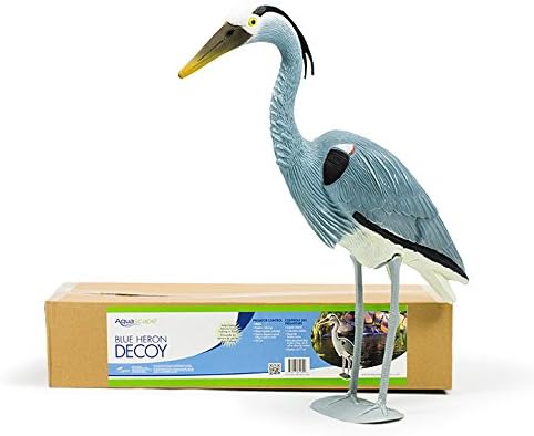 楽天市場】Aquascape製 アオサギ （青鷺）リアルフィギュア動物彫像 鳥
