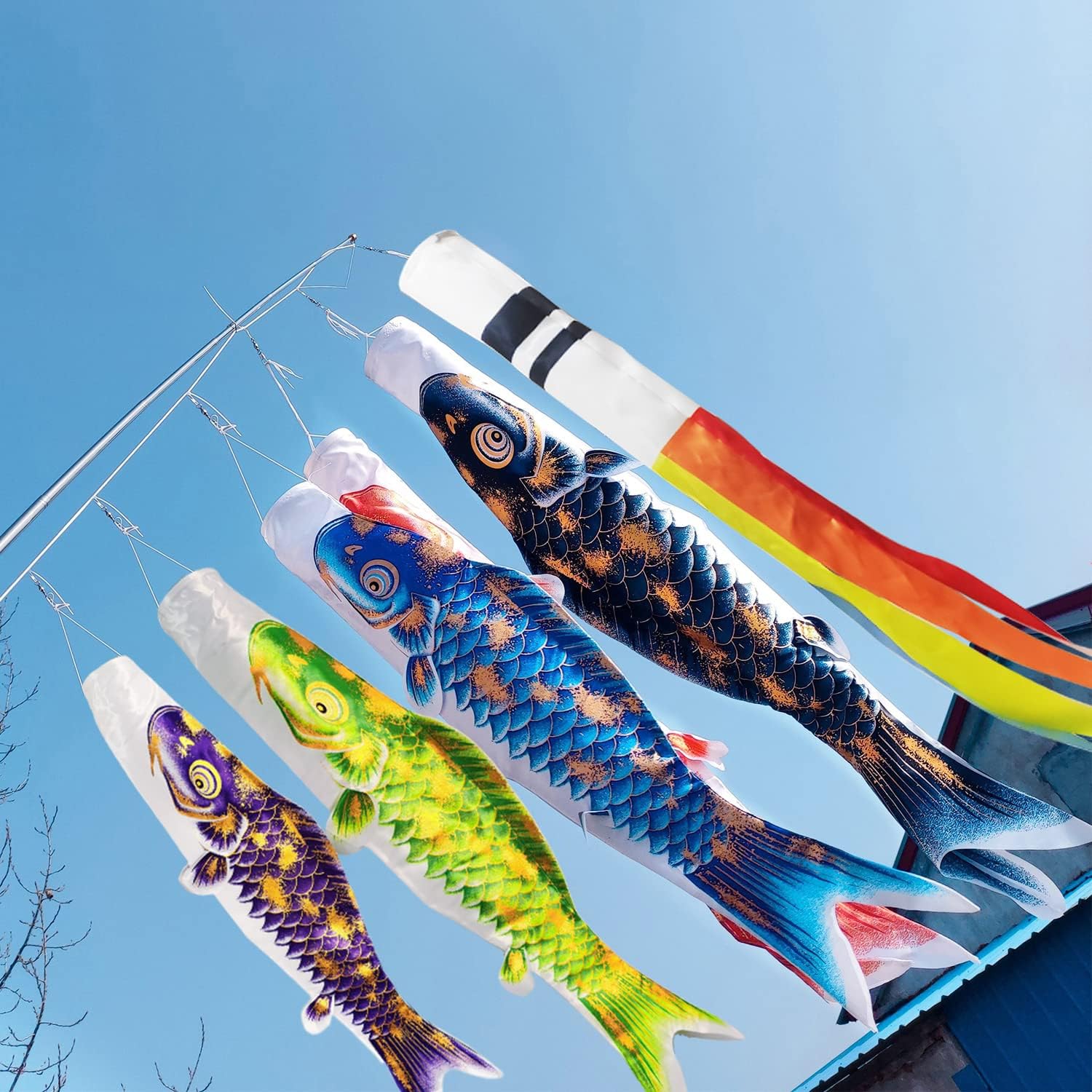 楽天市場】＼金箔限定！数量限定！先着順でお得GET／こいのぼり