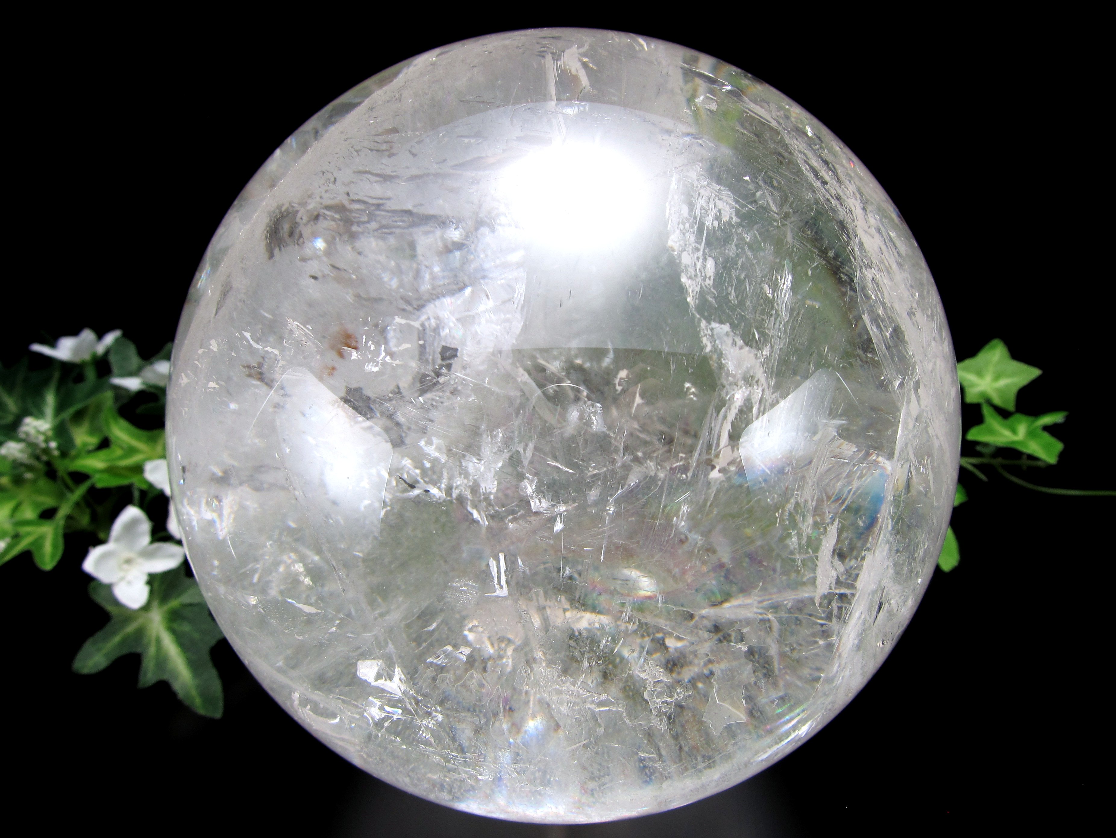 楽天市場】【全品P5倍】【店頭展示中】○全てを超える特大レインボー