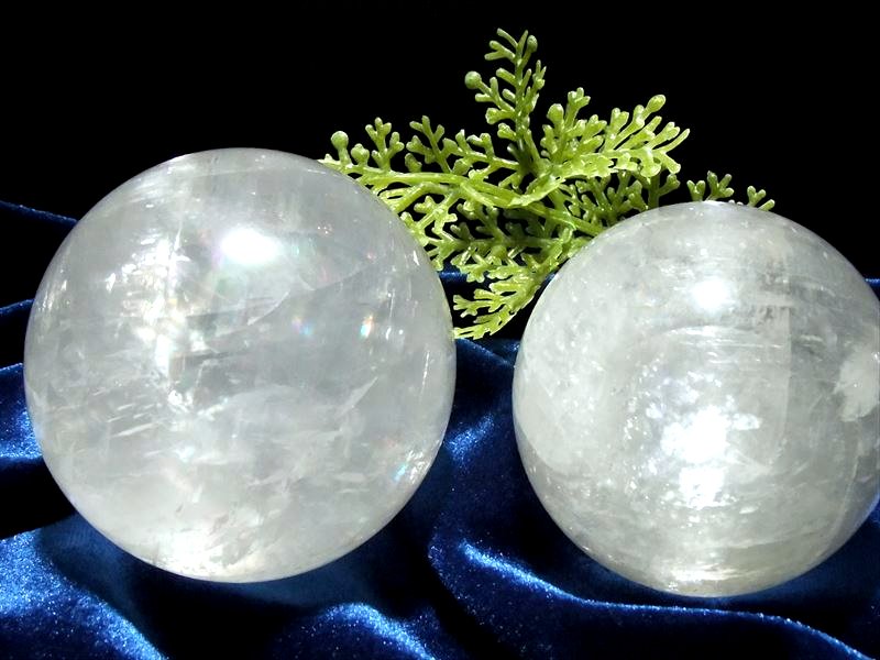 楽天市場】ホワイトカルサイトの通販