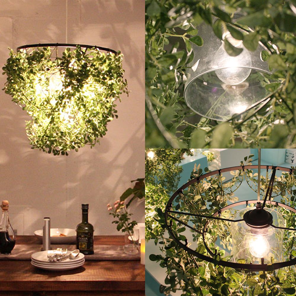 楽天市場】ペンダントランプ DICLASSE Mini-Foresti ミニフォレスティ