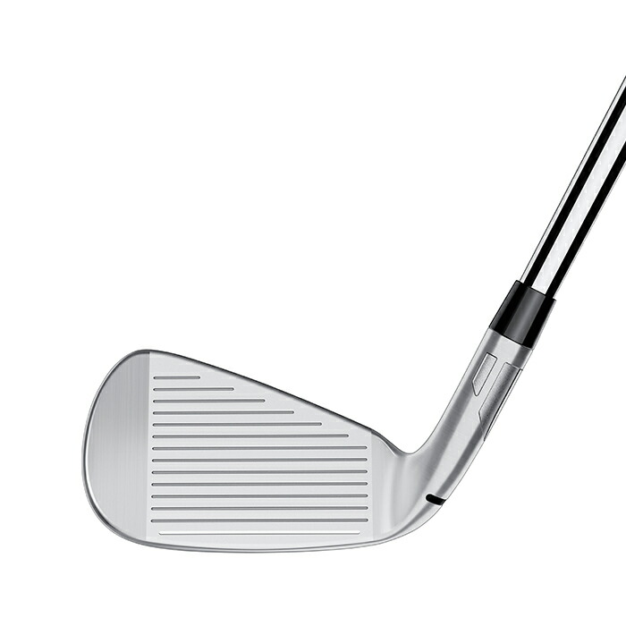 楽天市場】テーラーメイド Qi アイアン 単品（#5、AW、SW）NS PRO