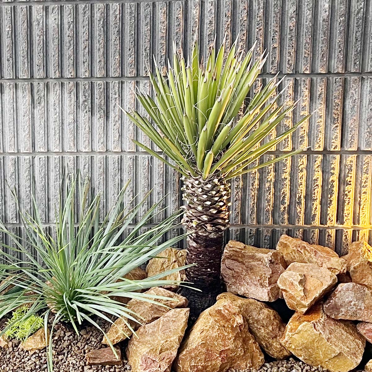 楽天市場】＼クーポン有／割栗石 （S 330kg）庭石 大きい 大きめ