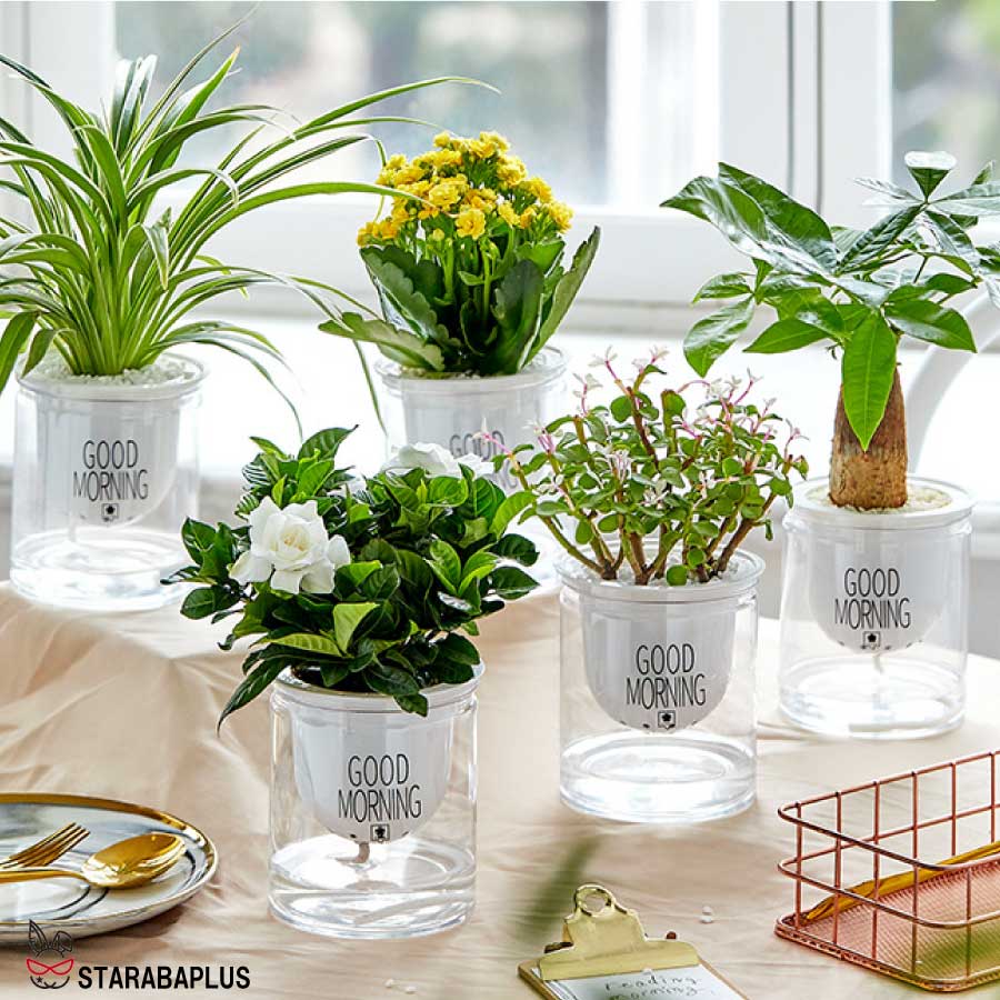 楽天市場】「最大ポイント20倍」3個セット 自動給水 プランター