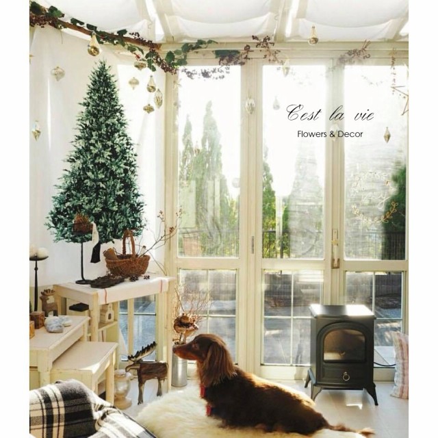 楽天市場】【楽天1位】タペストリー クリスマスタペストリー 壁掛け