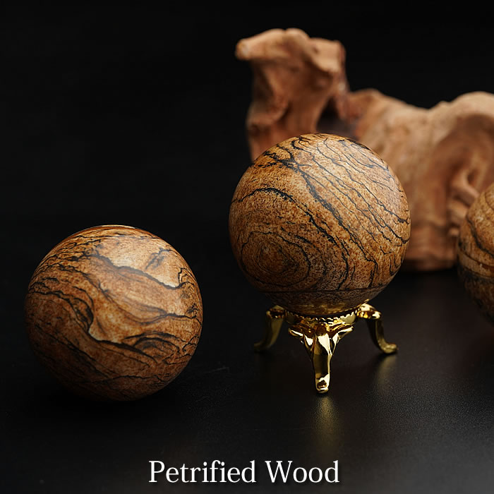 楽天市場】【希少】【数量限定】ペトリファイドウッド 珪化木 約36