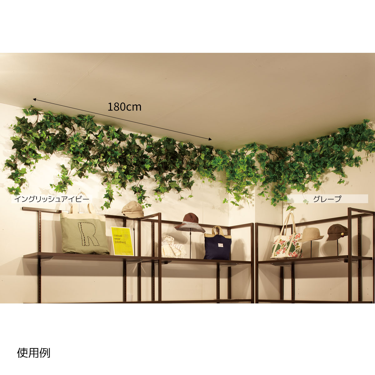 楽天市場】グリーンシダレガーランド オランダアイビー 1本夏の爽やか