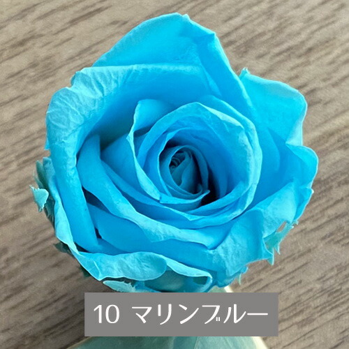楽天市場】プリザーブドフラワー バラ 1輪 ブルー系 選べる4色 ブルー