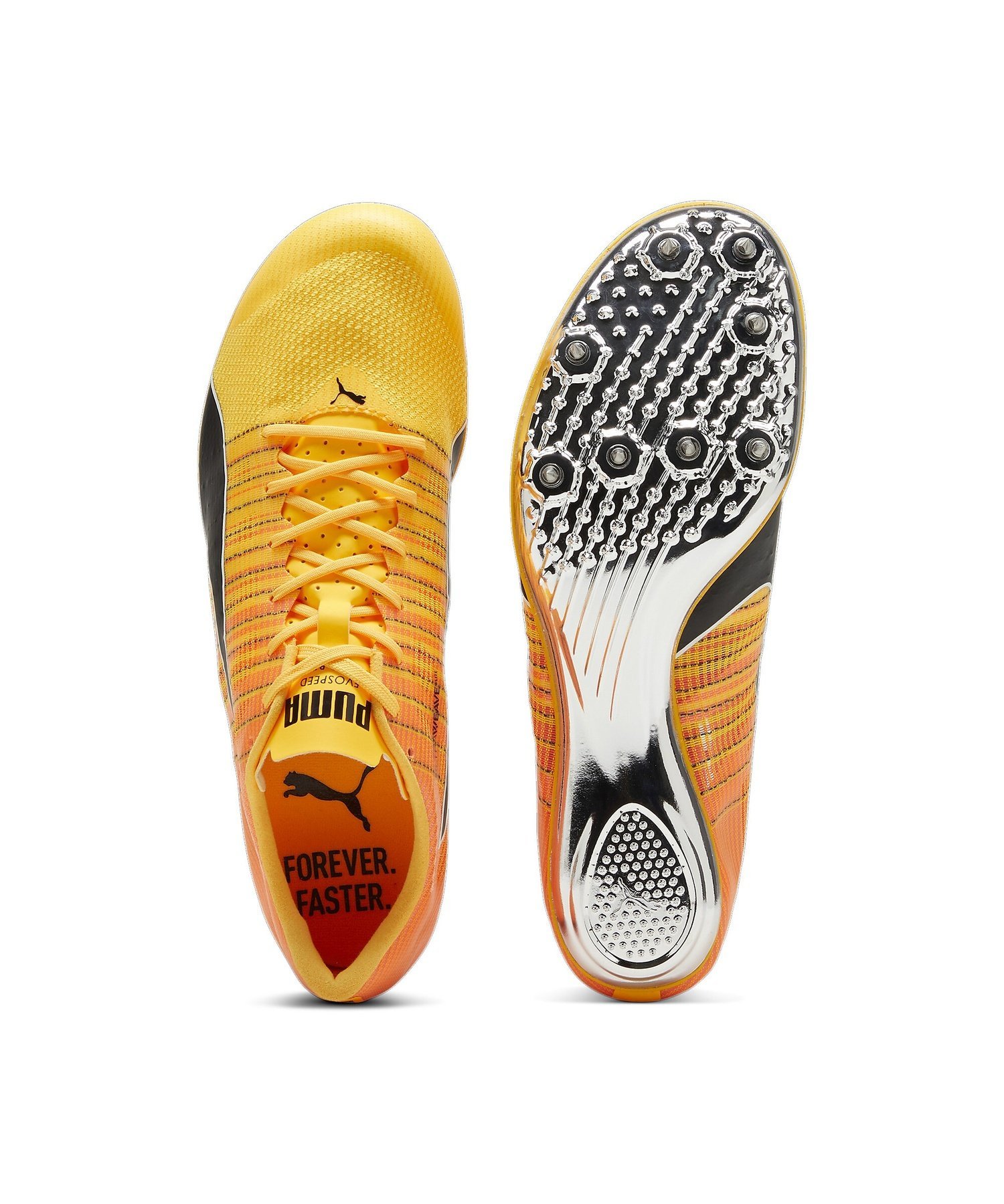 PUMA｜メンズ エヴォスピード ブラッシュ 6 陸上用 スパイク evoSPEED