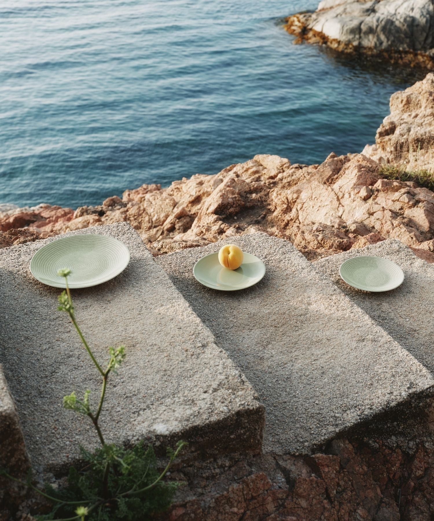 ARABIA｜[公式] アラビア 24h プレート 20cm セージグリーン | Rakuten