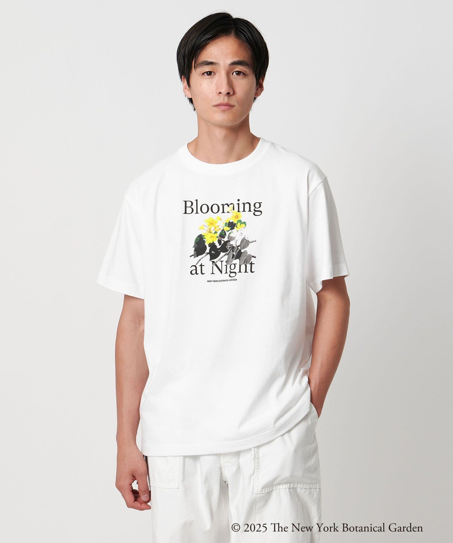 UNITED ARROWS LTD. OUTLET｜【別注】<New York Botanical Garden