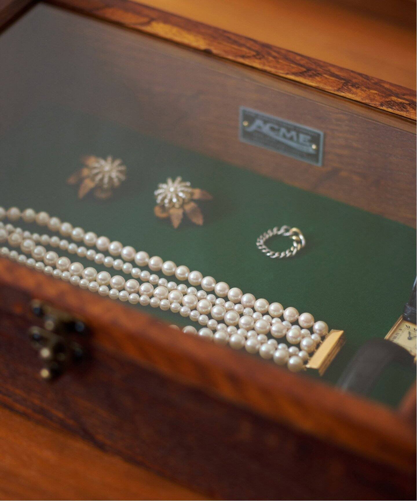 journal standard Furniture｜SHOW CASE L ケース ショーケース