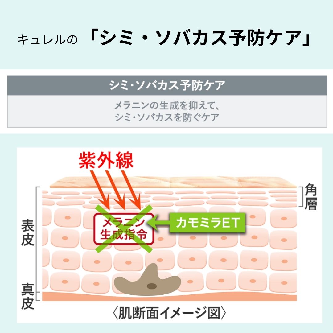 楽天市場】キュレル シミ・ソバカス予防ケア フェイスクリーム 40g