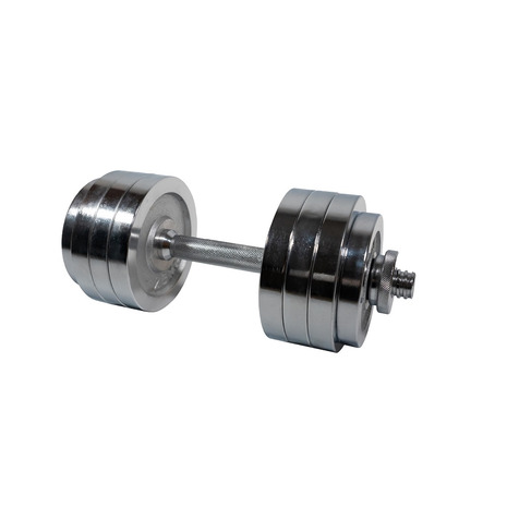 楽天市場】プレート 20kg ファイティングロードの通販