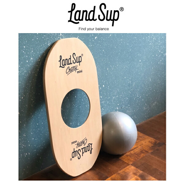 楽天市場】送料無料 サーフィン 体幹 トレーニング 陸トレ バランス