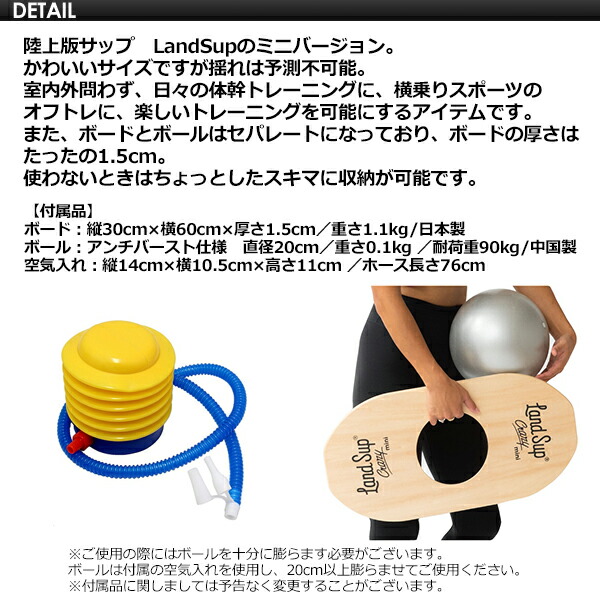 楽天市場】送料無料 サーフィン 体幹 トレーニング 陸トレ バランス