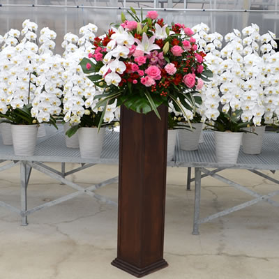 楽天市場】【スタンド花 木製 胡蝶蘭付き】開店祝い 花 花色は選べる5