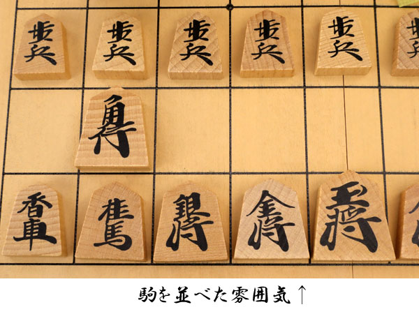 楽天市場】木製将棋セット 小型新桂4号折将棋盤セット(木製普及将棋駒