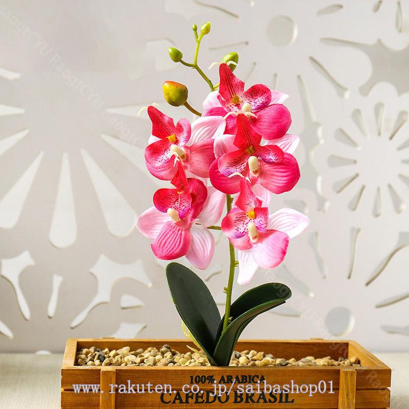 楽天市場】300円OFFクーポン 人工観葉植物 マルチカラー ミニ 胡蝶蘭