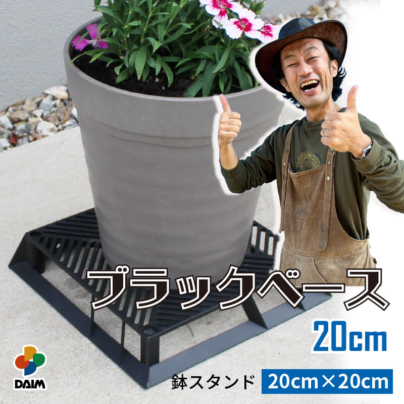 楽天市場】【エントリーでP5倍】【クーポンで最大3,000円OFF