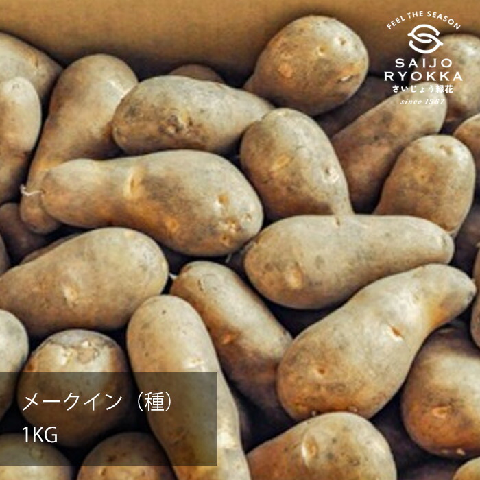 楽天市場】じゃがいも 種芋 メークイン 約1kg（充填時）【検査合格済