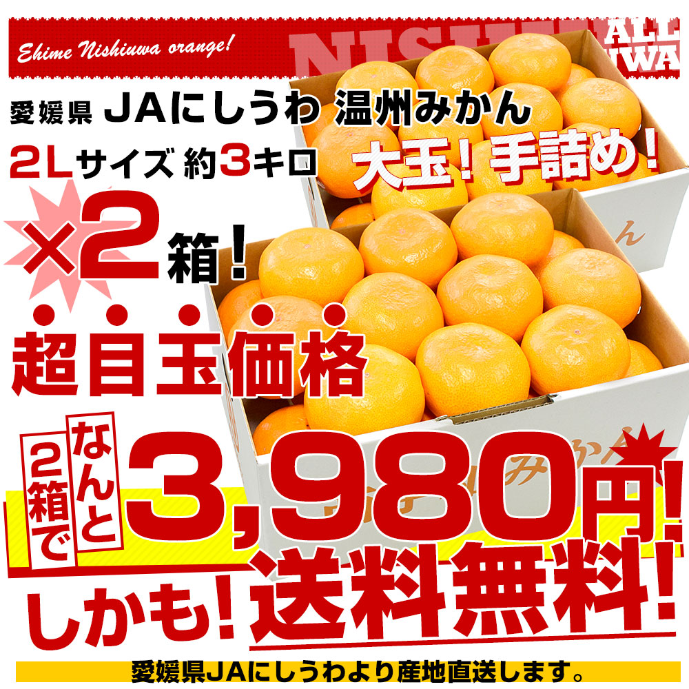 楽天市場】愛媛県より産地直送 JAにしうわ 西宇和温州みかん 2Lサイズ