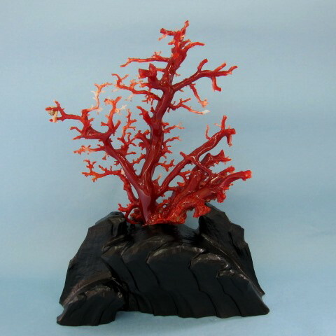 楽天市場】赤珊瑚 置物の通販