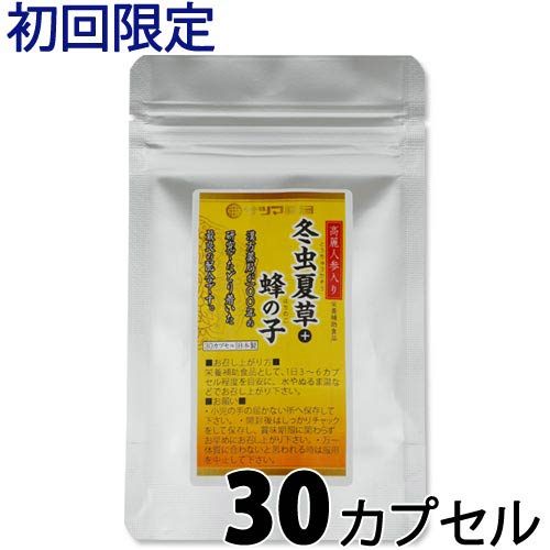 楽天市場】紅豆杉 5g×30袋 | 雲南紅豆杉 うんなん こうとうすぎ 心材