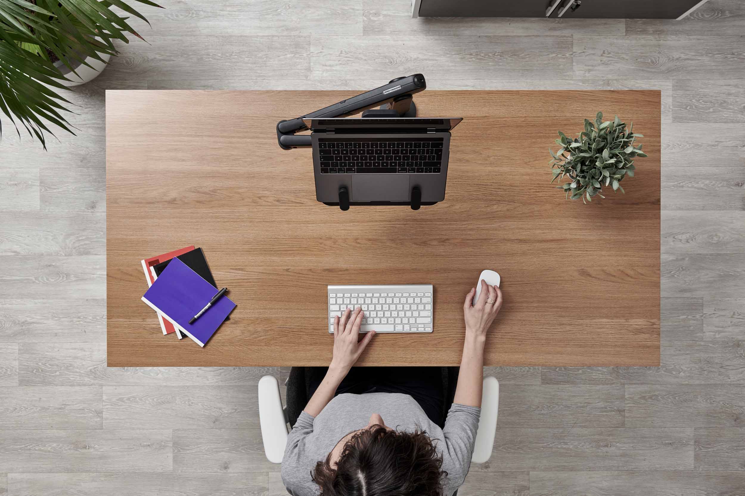 楽天市場】【即納在庫有】ハーマンミラー CBS オーリン/フローに対応