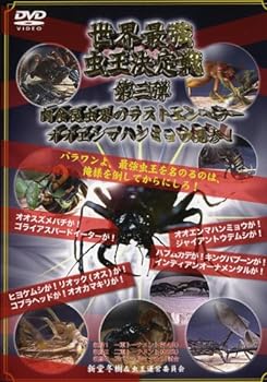 楽天市場】世界最強虫王決定戦・毒蟲祭り2008 オオエンマハンミョウ