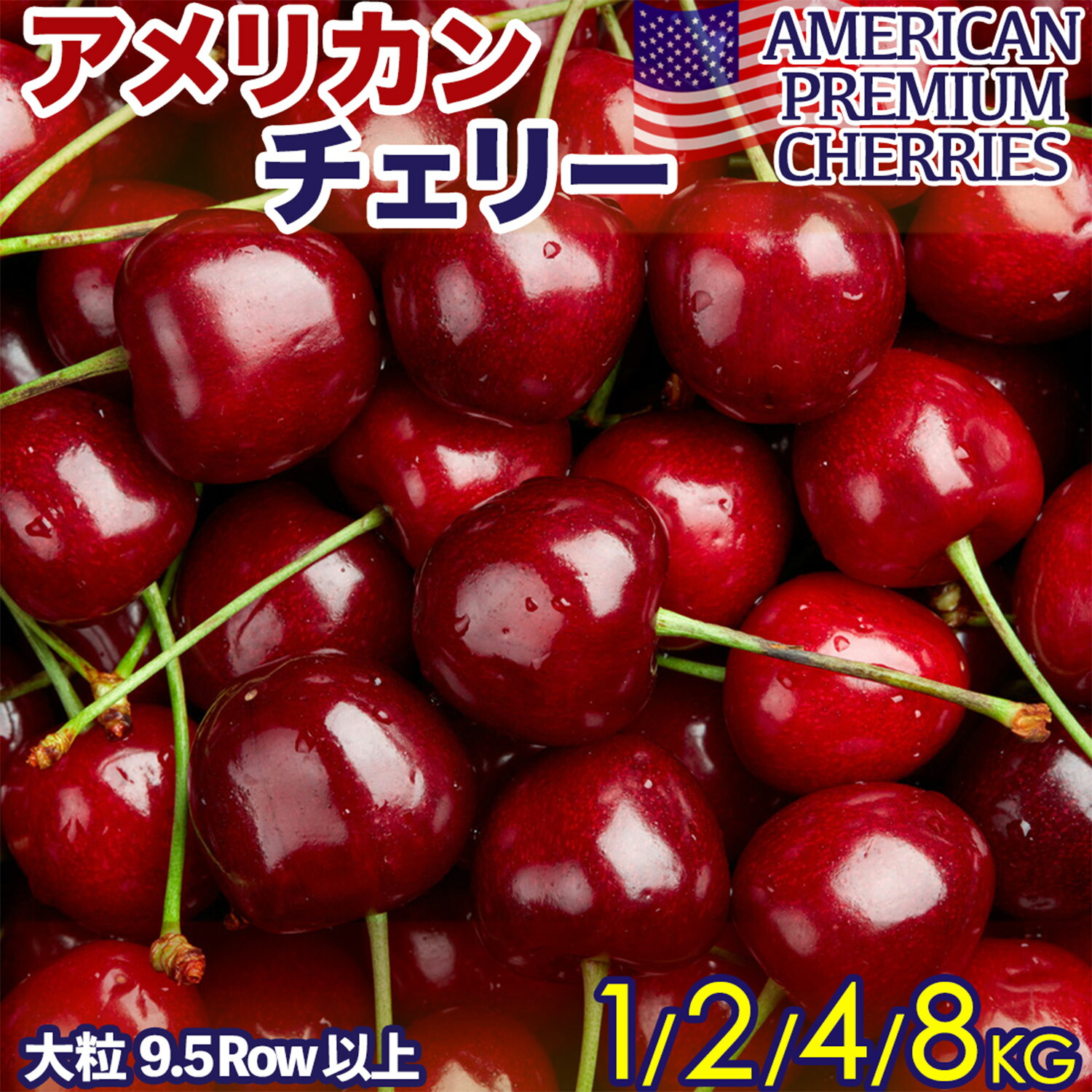 楽天市場】＜予約6月中旬＞アメリカンチェリー 1kg/2kg/4kg/8kg 大粒