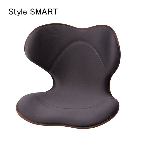 楽天市場】【正規販売店】スタイル スマート 茶 YS-AK08A Style Smart
