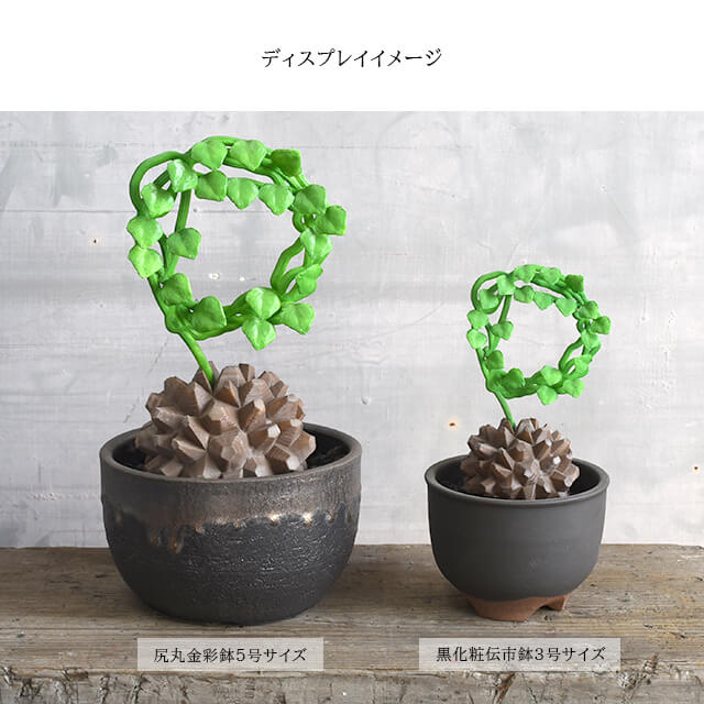 楽天市場】プラントオーナメント【亀甲竜L】【ロビンドン フィギュア