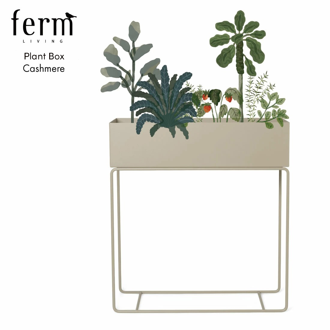 楽天市場】ferm LIVING ファームリビング Plant Boxプラントボックス