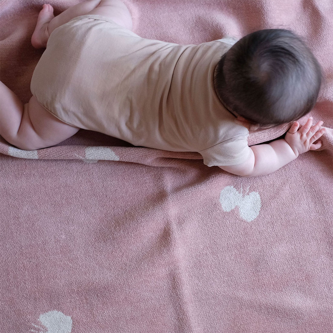 楽天市場】【店舗クーポン発行中】KLIPPAN クリッパン ミナペルホネン