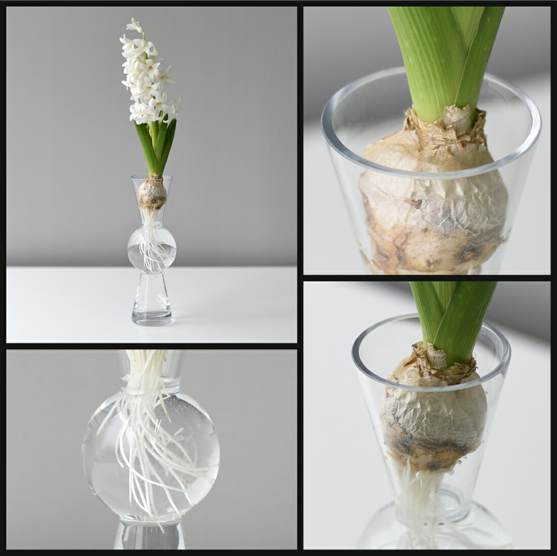 楽天市場】【店舗クーポン発行中】Design House Stockholm Bon Bon