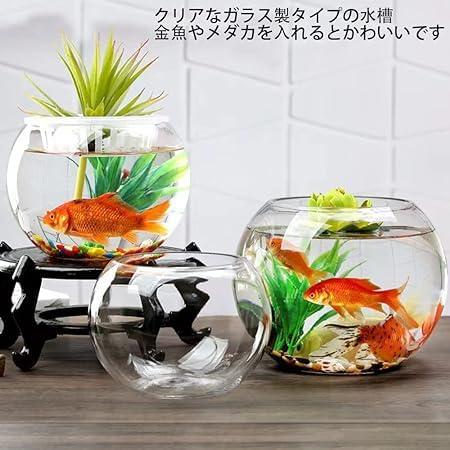 楽天市場】金魚鉢水槽 丸型透明金魚鉢アクアリウム ボウル 金魚水培